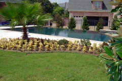Pool 203
