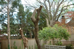 remodpic18