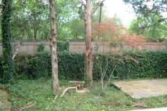 remodpic19